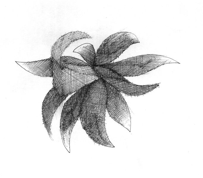 crosshatch_flower